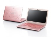 Laptop Sony Vaio SVE14A25CV